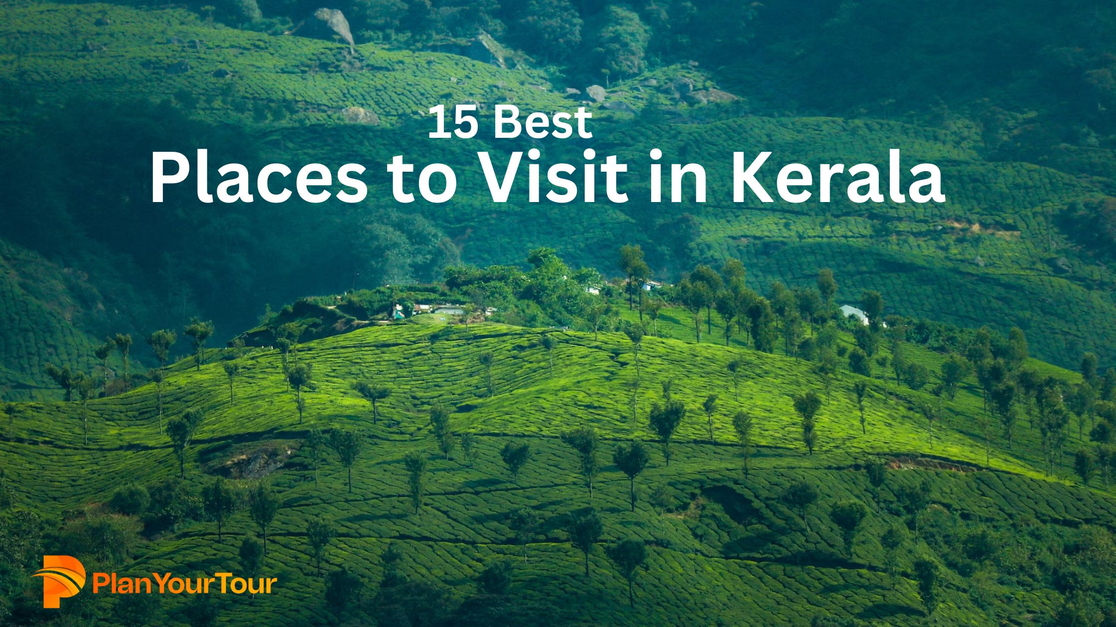a green hills with trees : 15 Best Places to Visit in Kerala